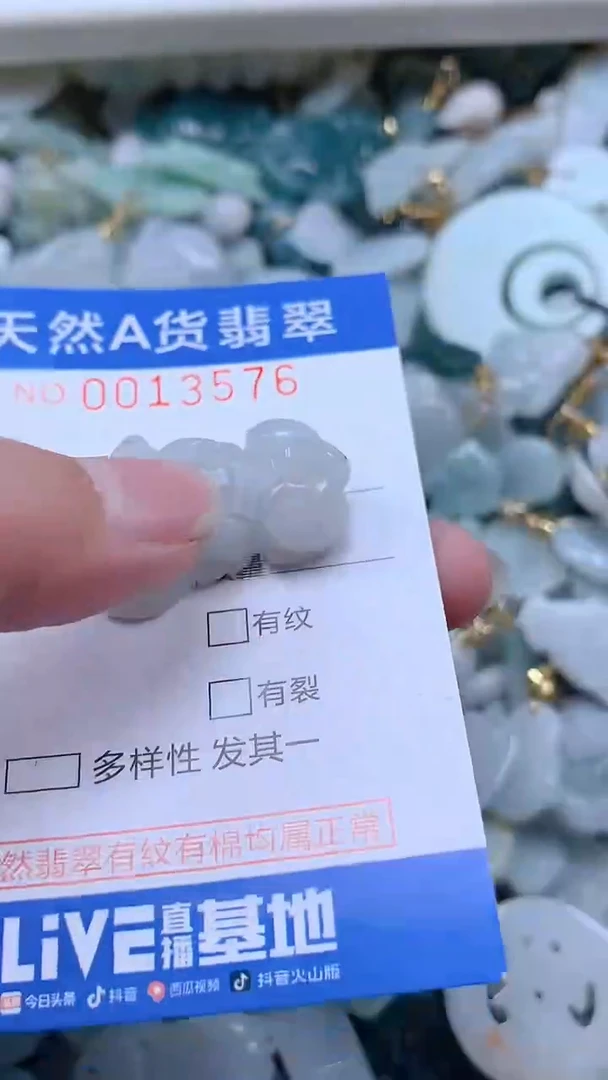 翡翠未镶嵌吊坠(不含链)1