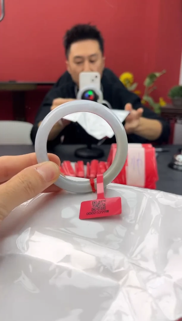 未镶嵌手镯翡翠454