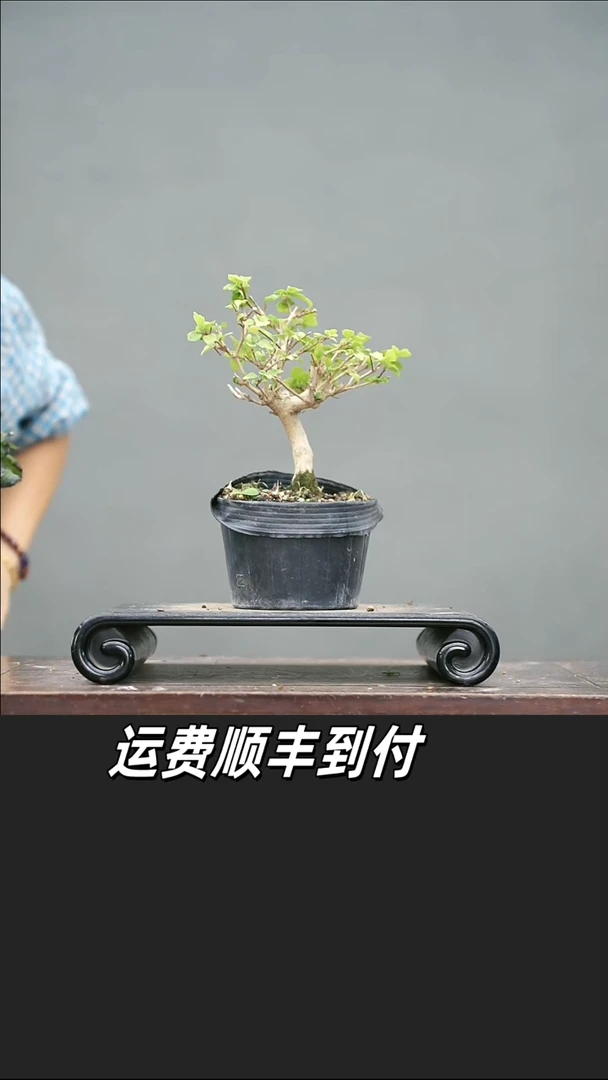 一****活24