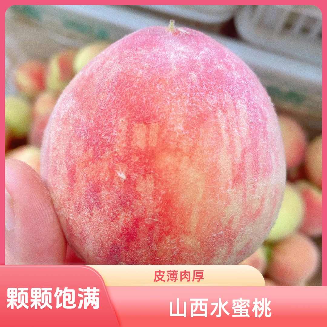 【山西运城新鲜水蜜桃】脆甜可口整箱包邮软硬两吃应季水果坏果包赔