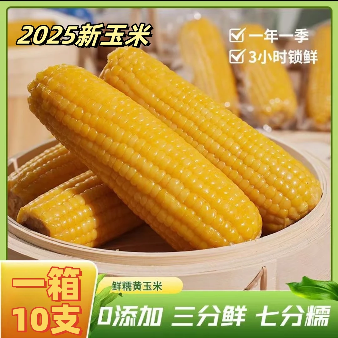 【试吃2根】2025年头茬东北黄糯玉米鲜采软糯黏甜玉米260-300g*10支