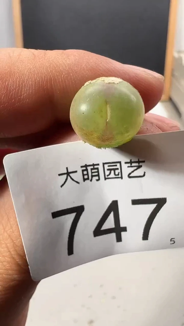 【闪购商品】++++747