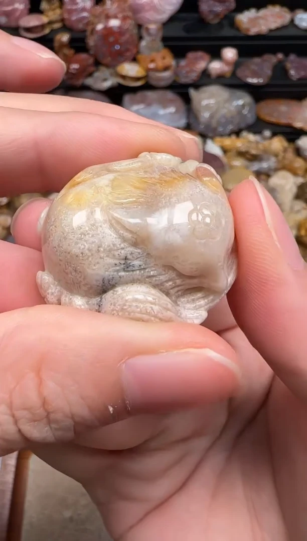硅化珊瑚（珊瑚玉）未镶嵌颈饰369