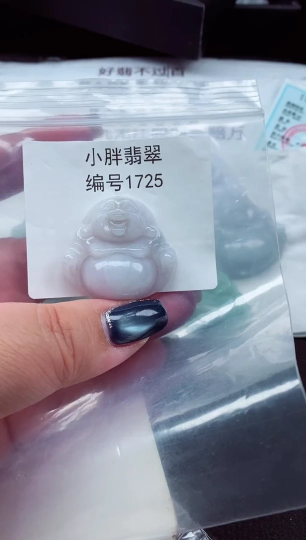 颈饰未镶嵌翡翠缅甸天然A货翡翠1725