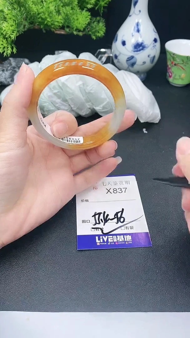 未镶嵌手镯翡翠837