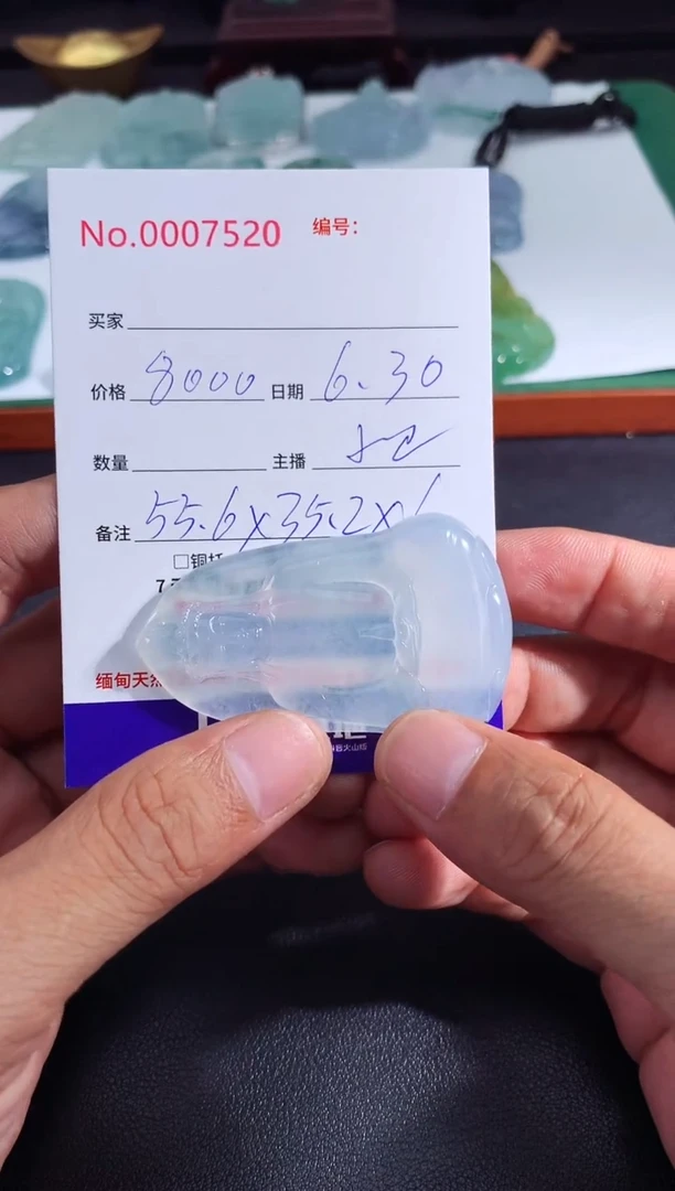 翡翠未镶嵌颈饰素衣