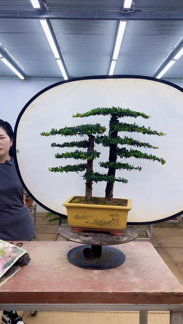 无花朵一物一拍，所见即所得