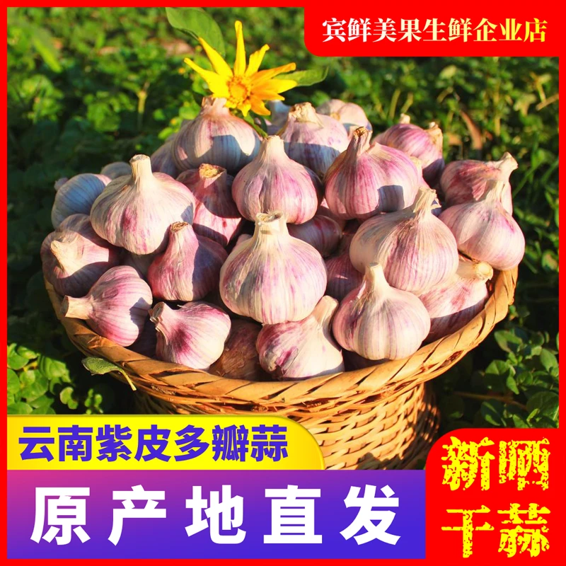 云南紫皮多瓣蒜干蒜2/3/5/9斤紫皮蒜大蒜头腌蒜糖醋蒜腊八蒜泡蒜