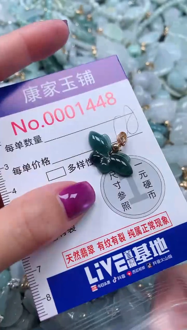 颈饰未镶嵌翡翠1448