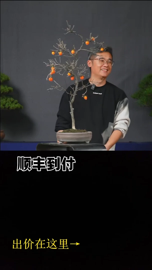 无花朵c289老鸦buaboyou