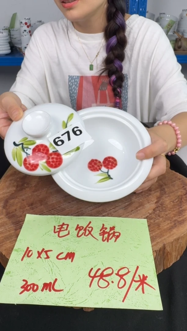 其他高温瓷（电饭锅）676