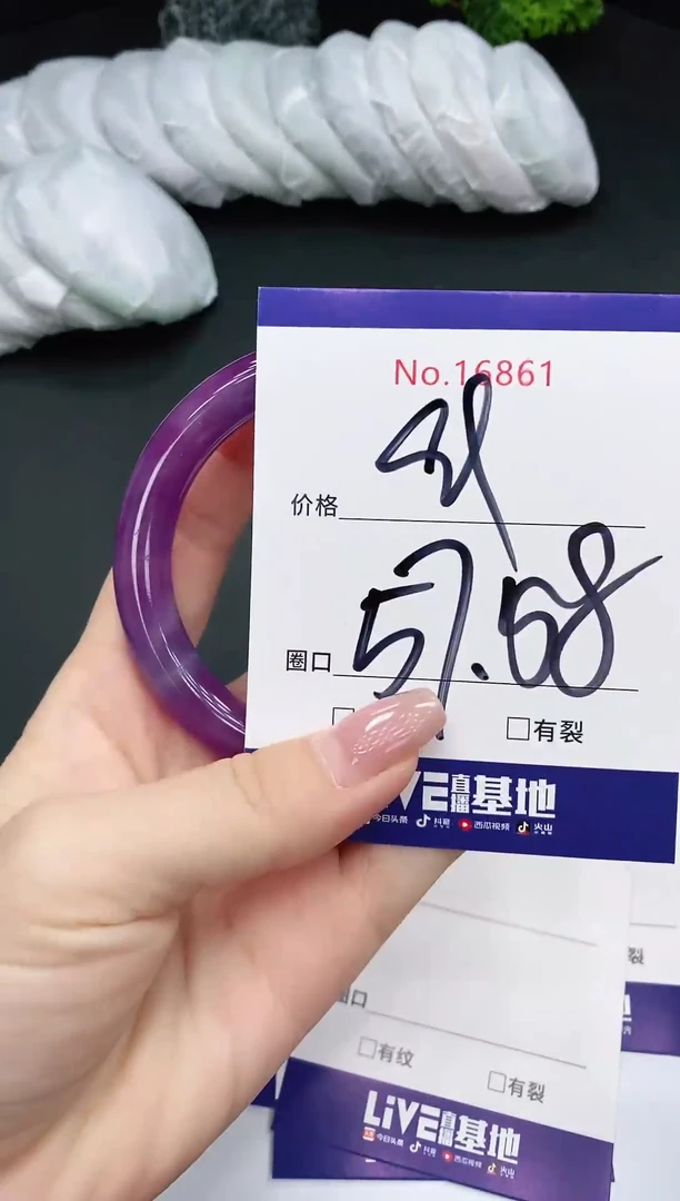 未镶嵌手镯翡翠16861