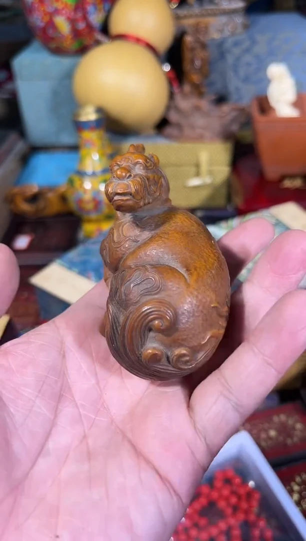 黄杨木11111111111111111111