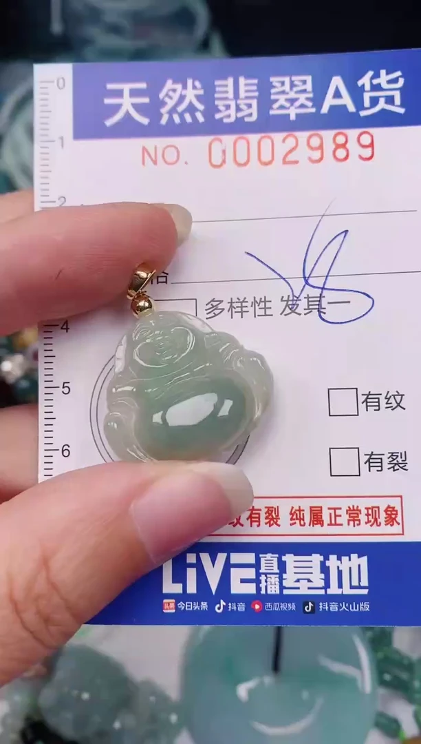 颈饰未镶嵌翡翠00002989