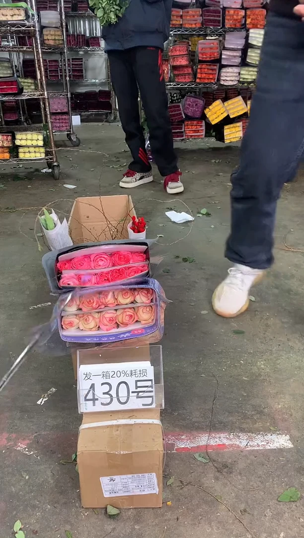 430号♥中通含20%耗损发一箱鲜花