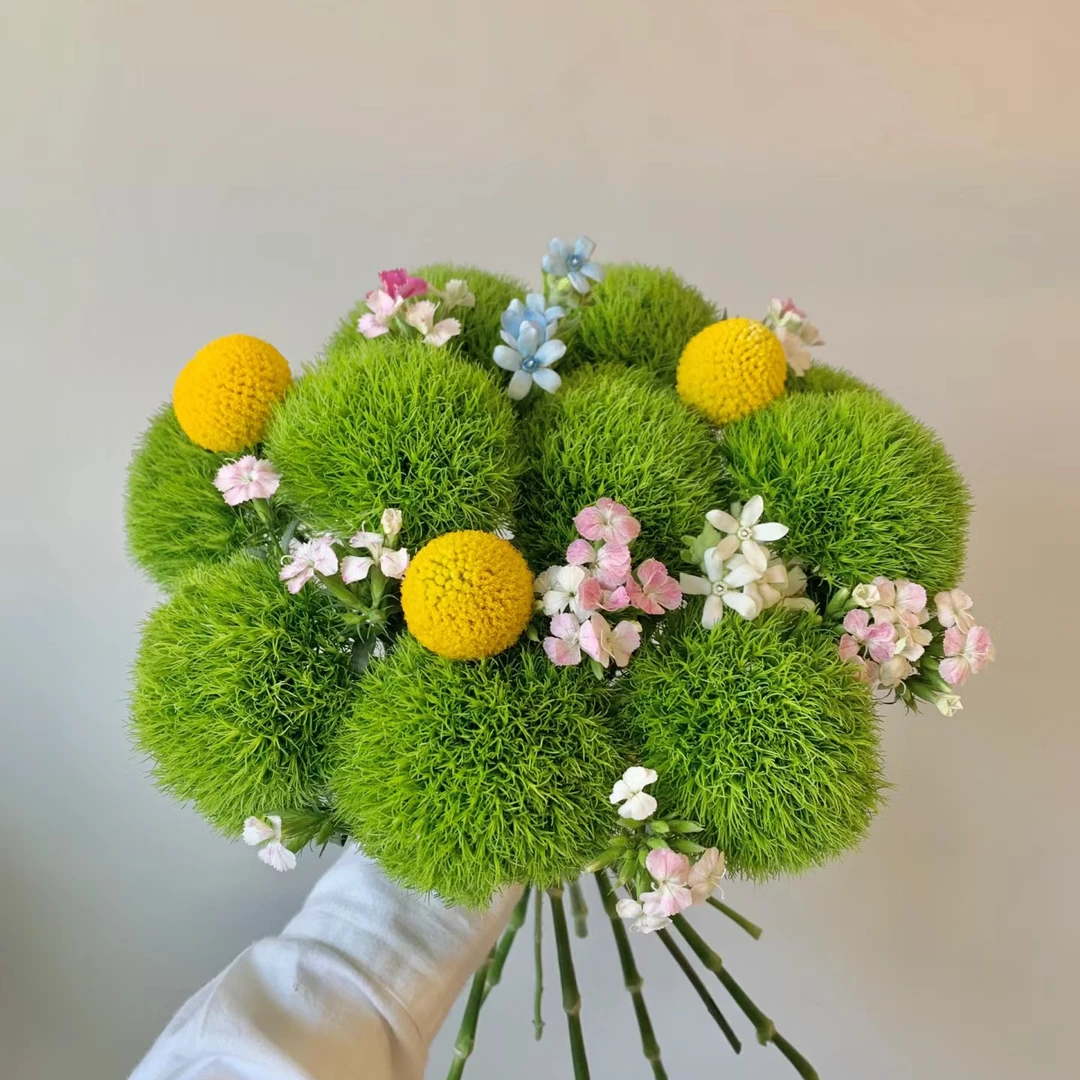 【春日森林】绿毛球花束长花期鲜花高颜值氛围2025年鲜花绿植