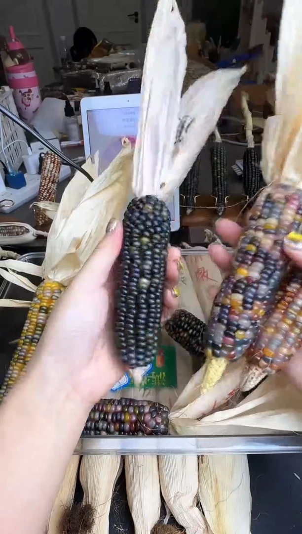 【闪购商品】和哈哈哈哈哈哈哈哈哈哈