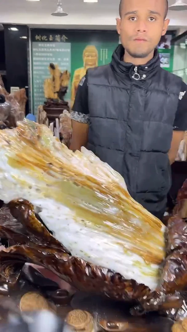 缅甸天然树化玉精品摆件