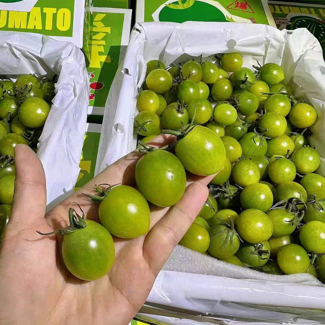 青蜜千禧圣女果/小青喜柿2.5斤礼盒青蜜千禧果山东省