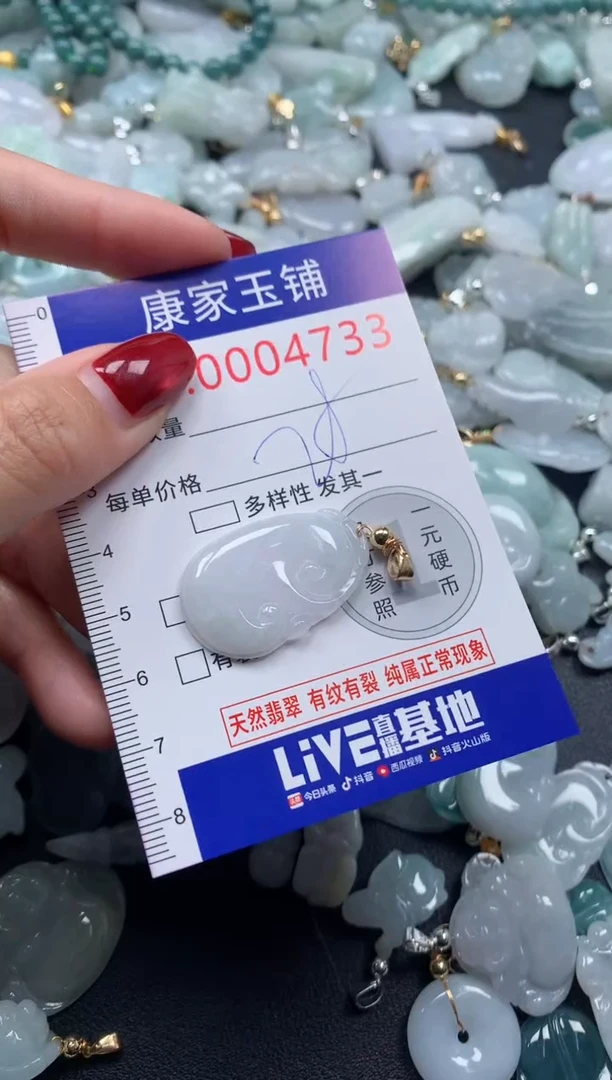 颈饰未镶嵌翡翠4733