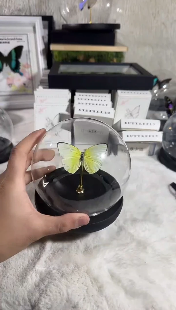 迁粉蝶水晶球标本