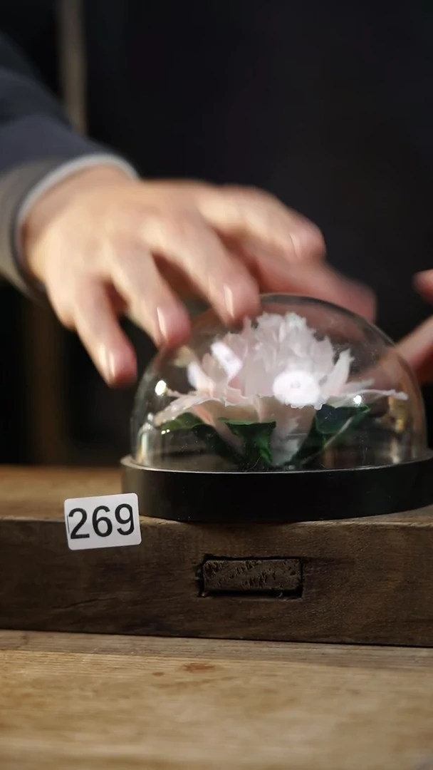 瓷片开播福利！设计师款