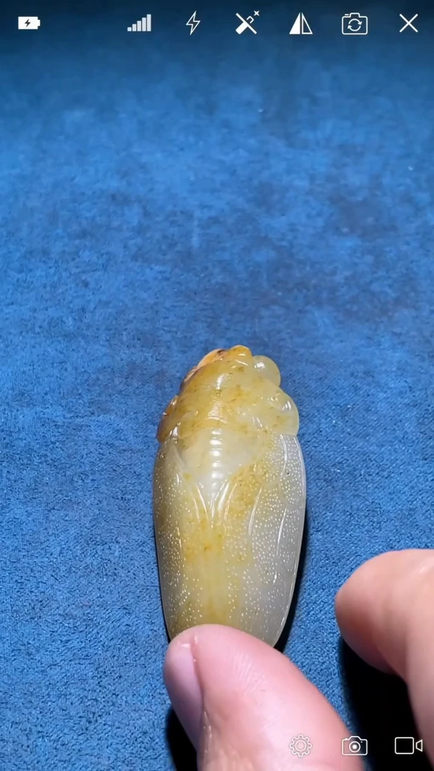 未镶嵌和田玉把件XXZ  金蝉手把件