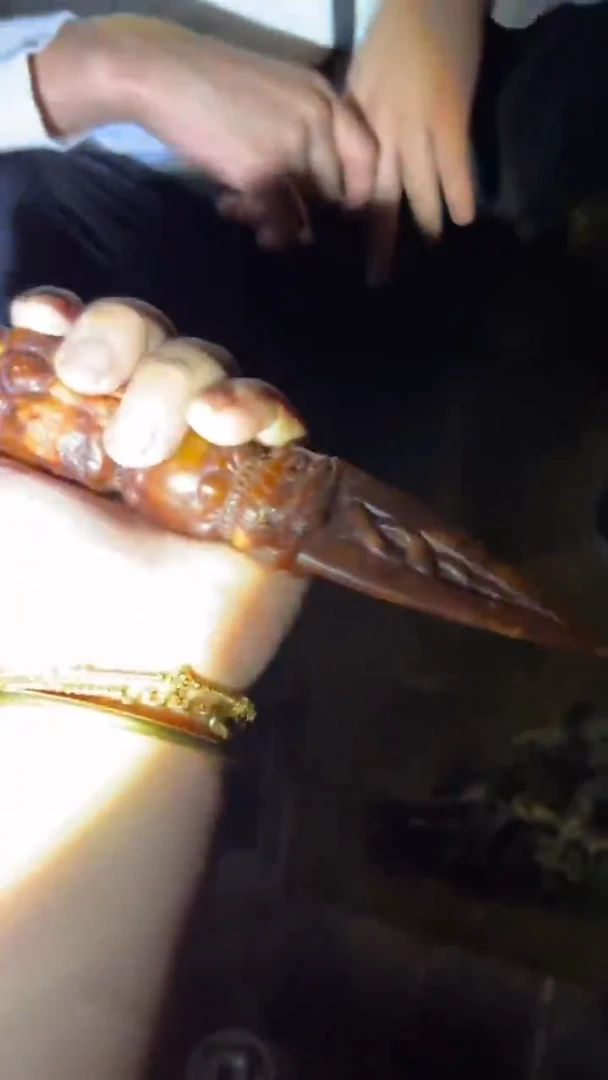 瓷片多多专属精品链接