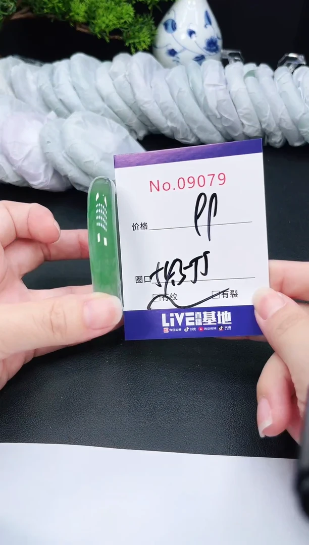未镶嵌手镯翡翠9079