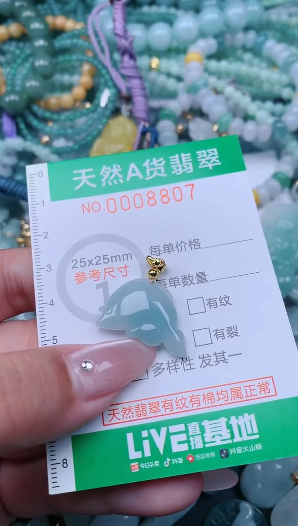 翡翠未镶嵌颈饰.0008807