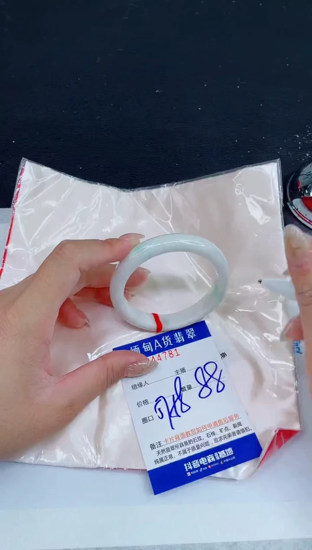 未镶嵌手镯翡翠0299584605