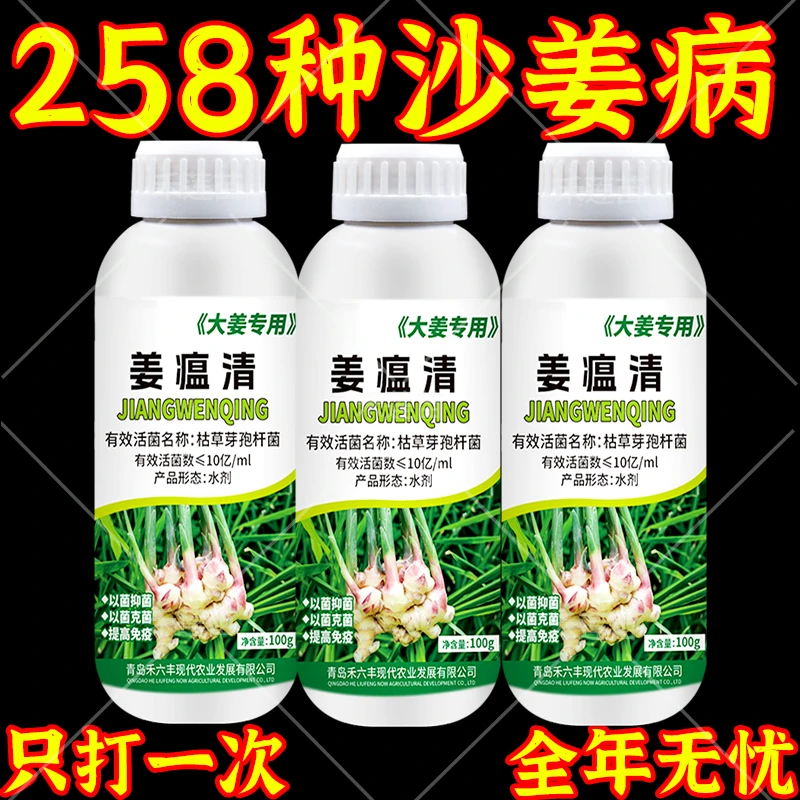 沙姜病专用沙姜姜瘟病专用肥沙姜烂脖子根腐病干尖黄叶专用清菌剂