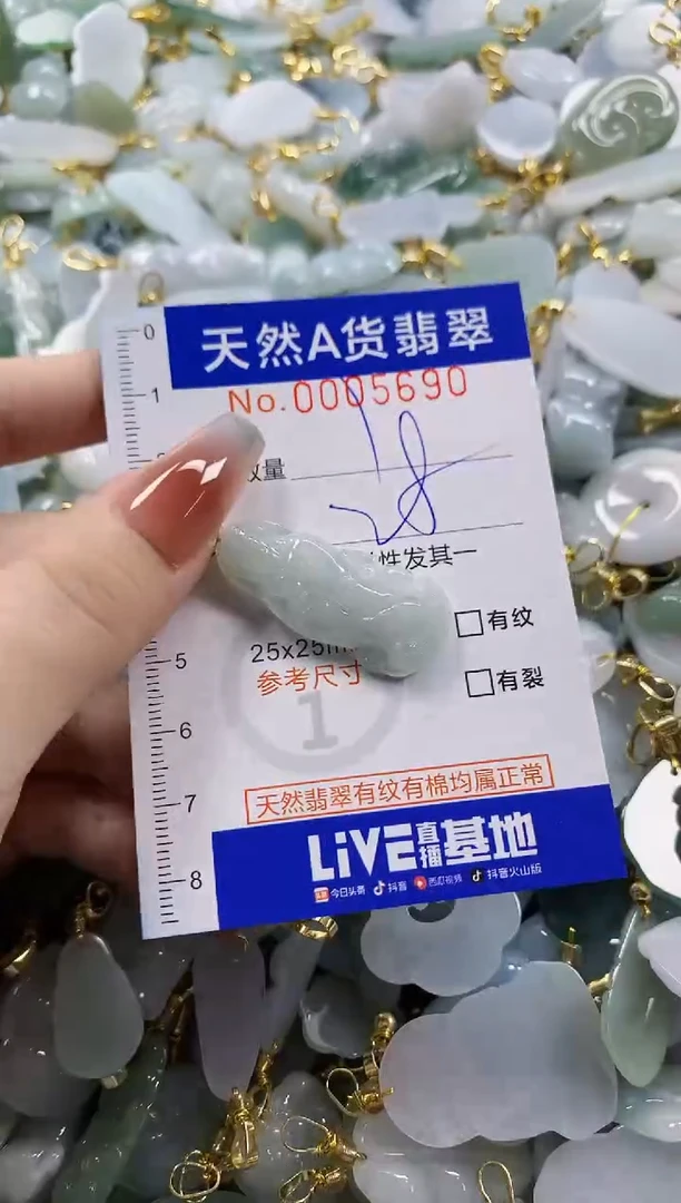 颈饰未镶嵌翡翠天然A货翡翠