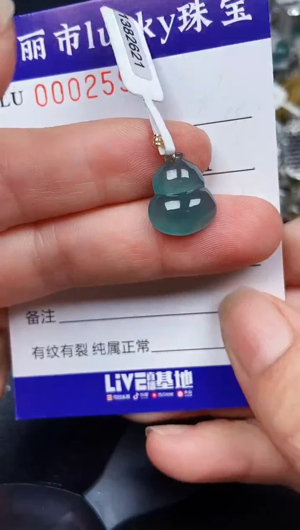 翡翠18K金镶嵌颈饰259718k