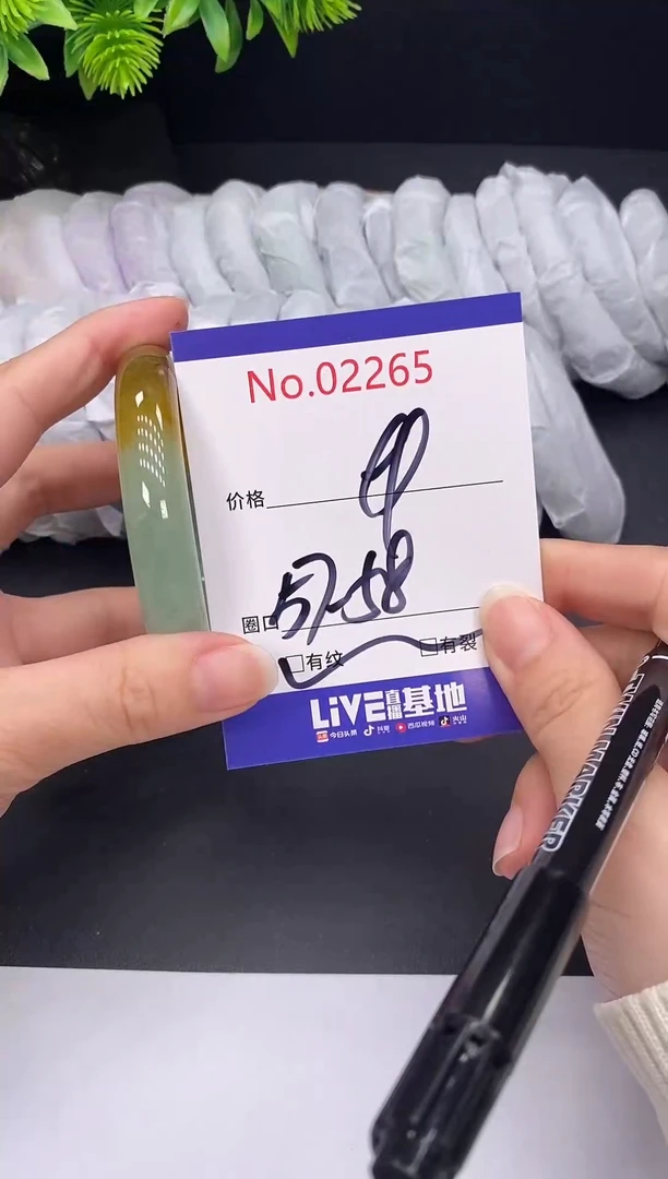 未镶嵌手镯翡翠2265