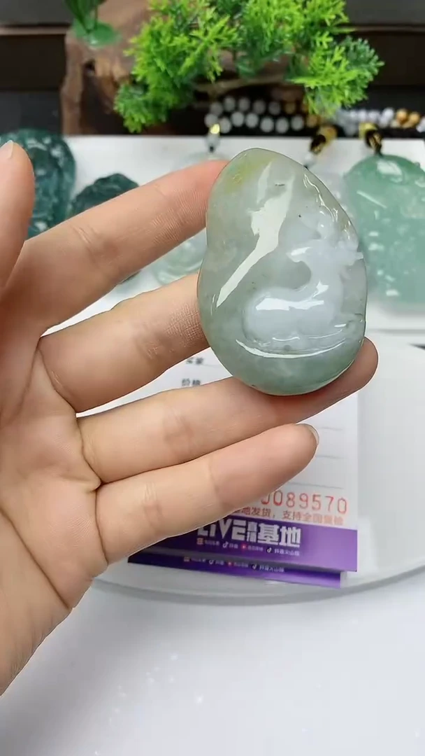 【闪购商品】翡翠颈饰未镶嵌