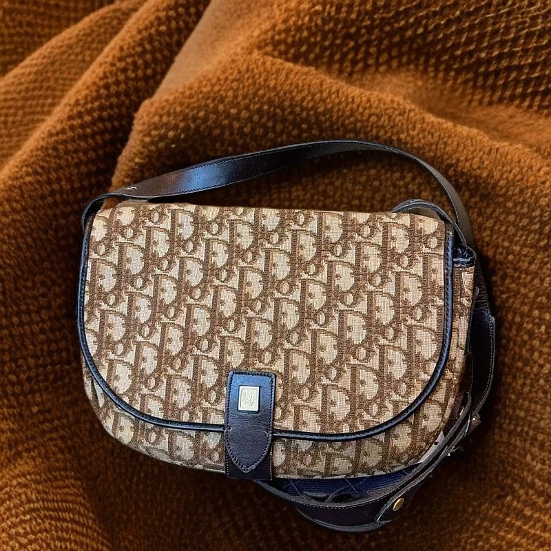 95新 DIOR/迪奥 老花马鞍包 1175 6720