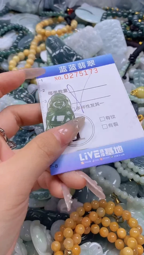 翡翠未镶嵌颈饰闪购0275173