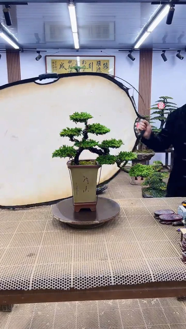 【闪购商品】000000