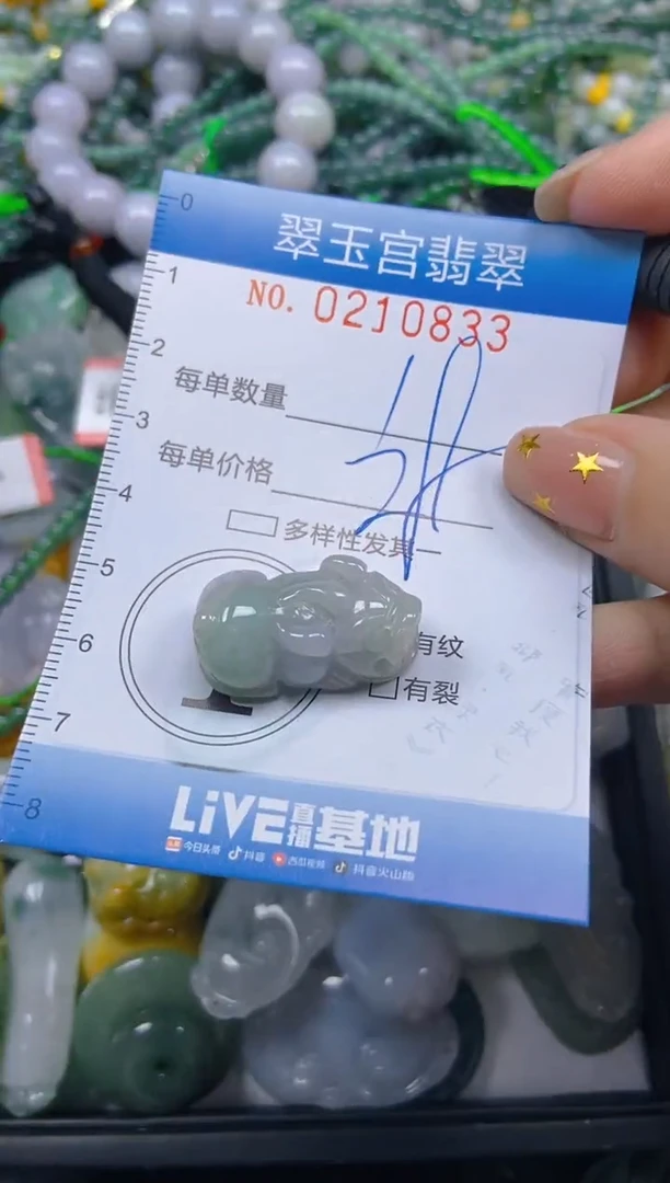 颈饰未镶嵌翡翠闪购C0210833