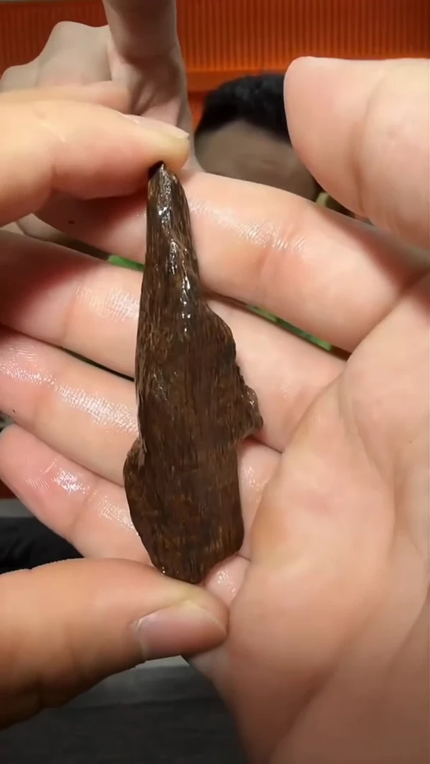 沉香手把件171号原材树心油多样性发一