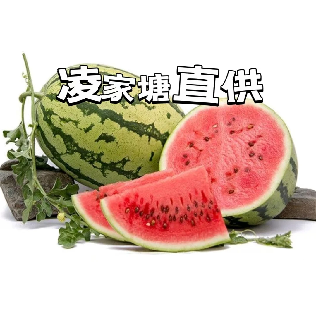 宁夏硒砂瓜宁夏回族自治区