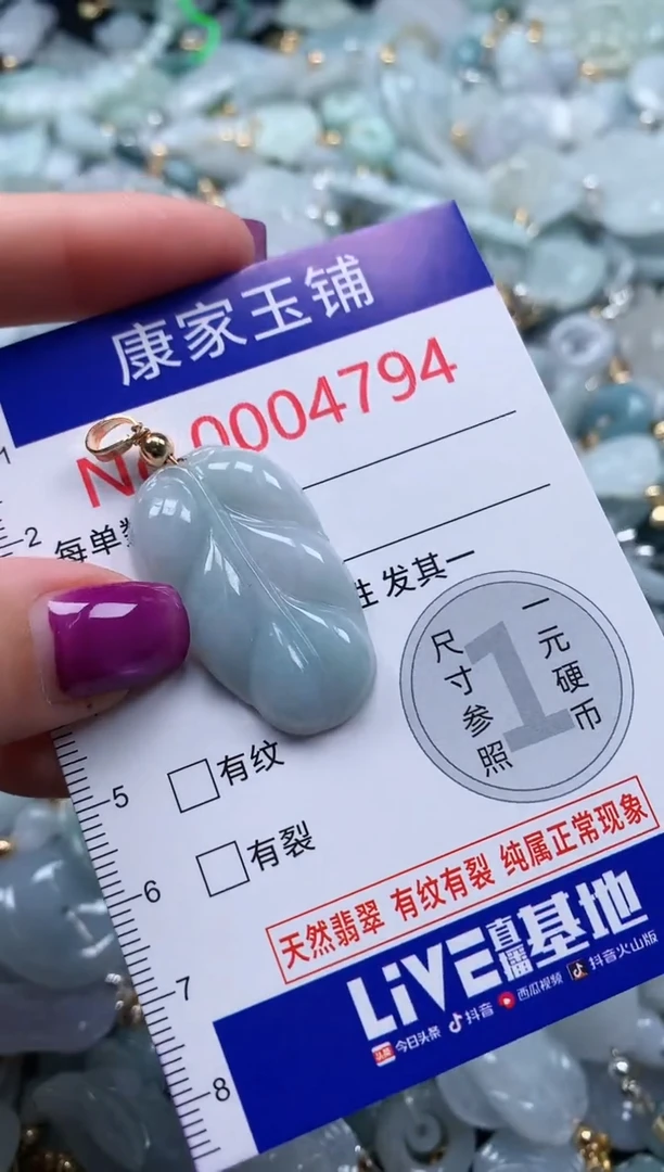 颈饰未镶嵌翡翠4794