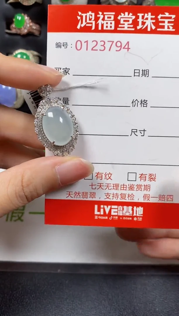 颈饰银S925镶嵌翡翠3794