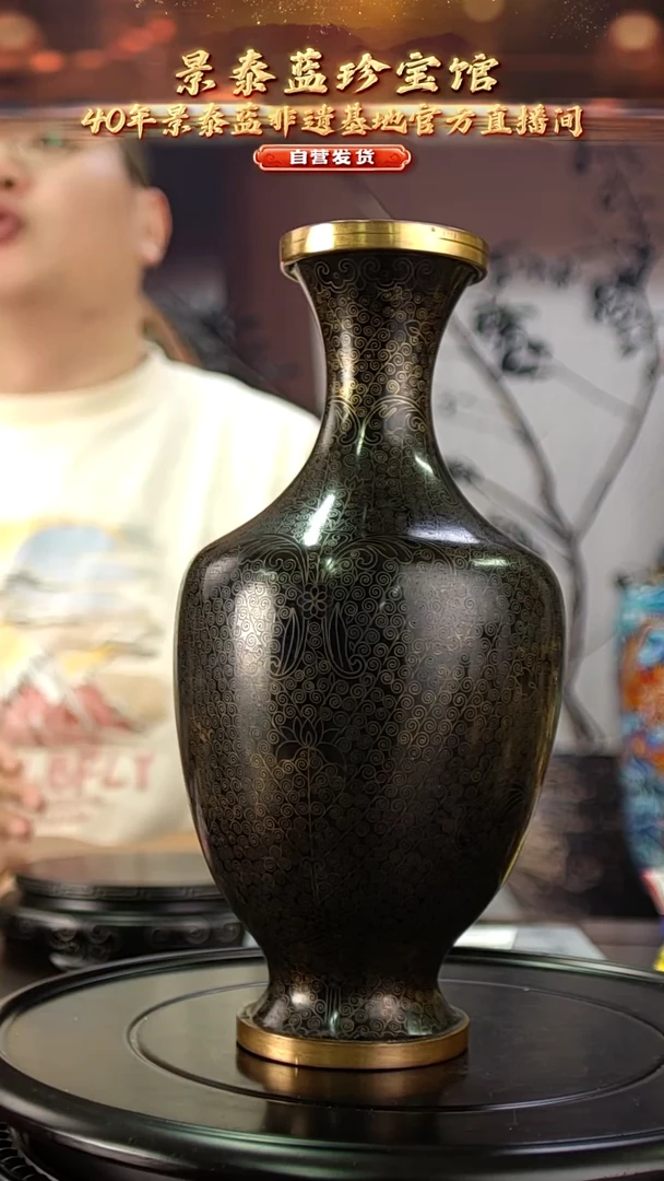 非遗 景泰蓝忍冬卷草纹瓶