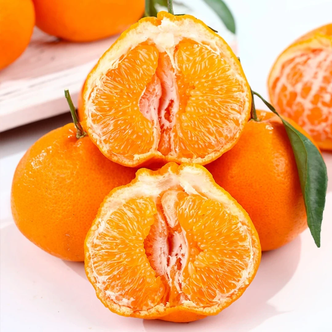 春见耙耙柑礼盒装5斤现货现发【好东西】四川省