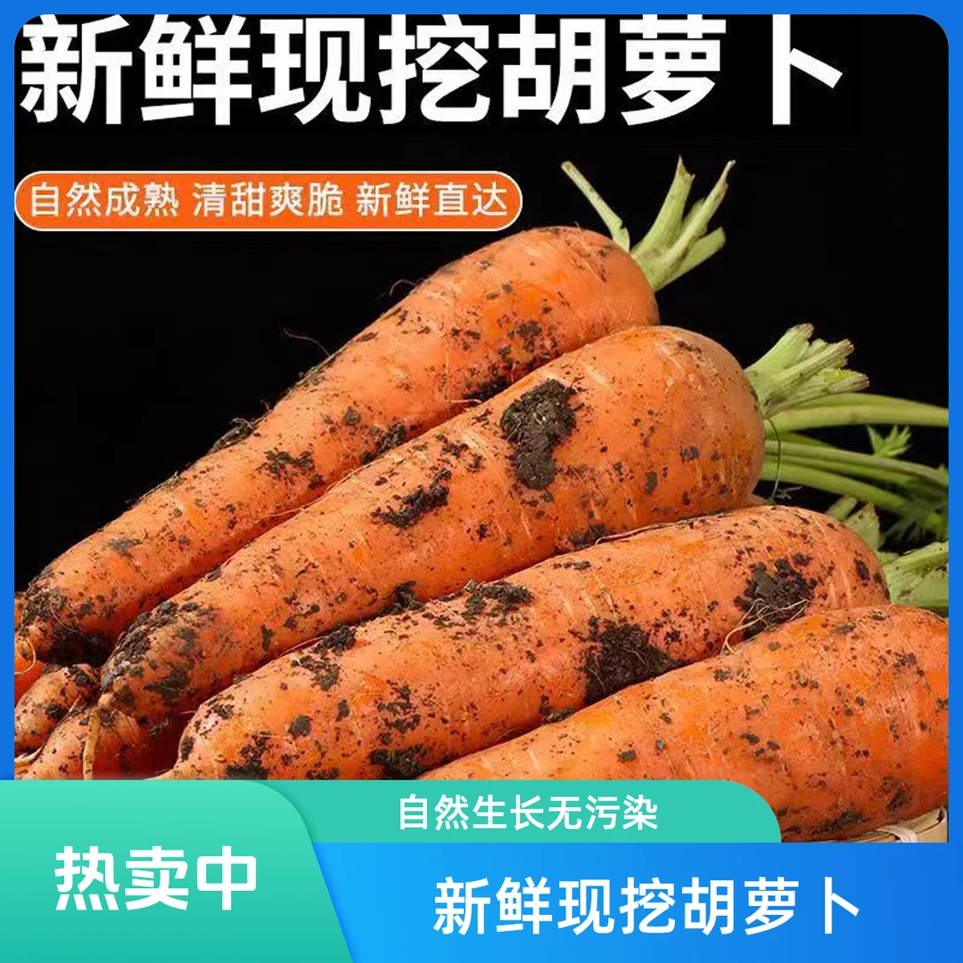 胡萝卜 约400g