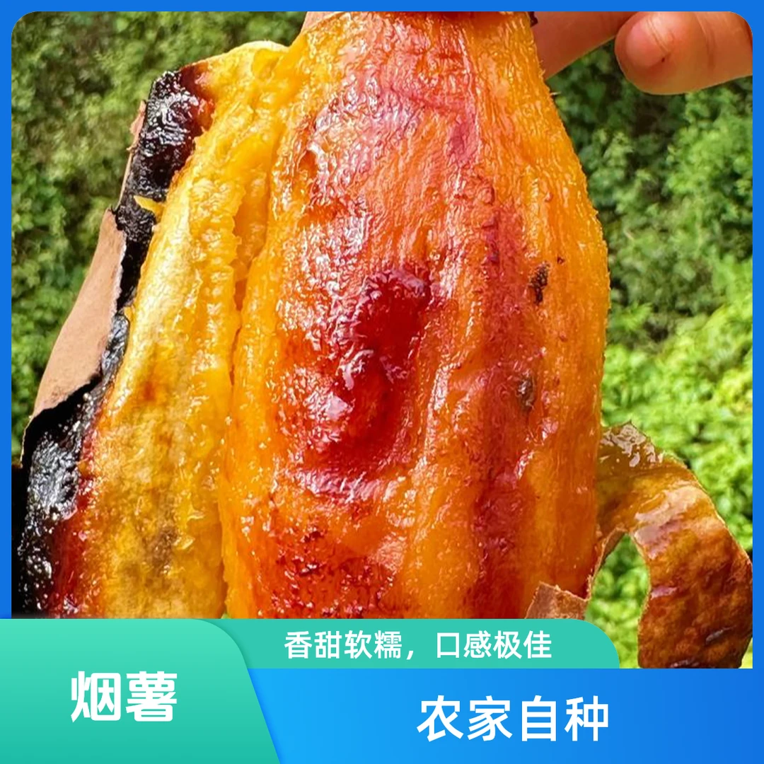 冬天一定要吃烤红薯烟薯25号红薯烟薯烟薯25红薯新鲜红薯25号烟薯