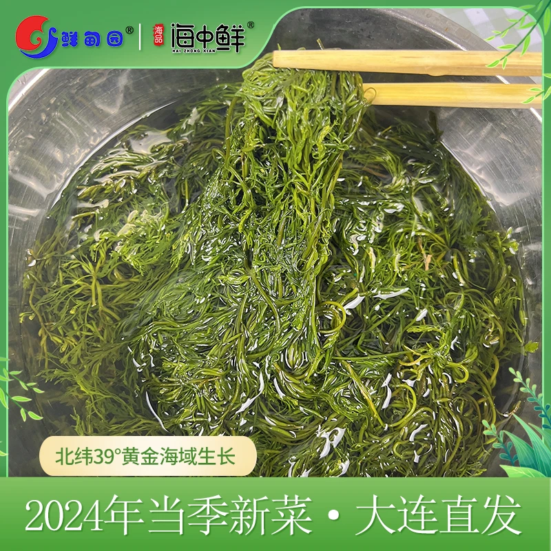 大连盐渍马尾藻鞭炮笋 带箱五斤