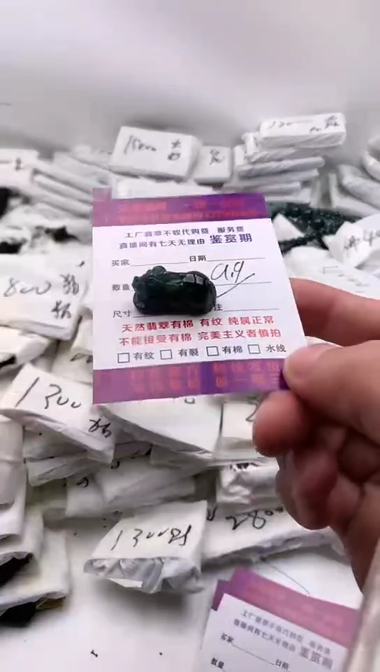 翡翠未镶嵌颈饰貔貅【品质一般介意慎拍】